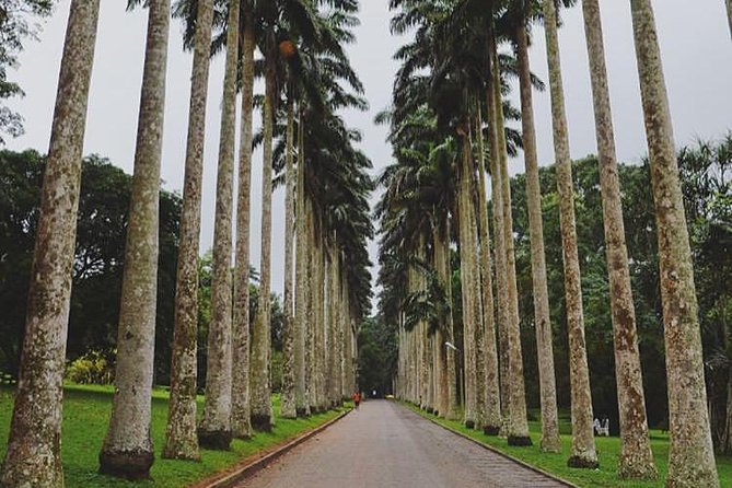 Aburi Gardens